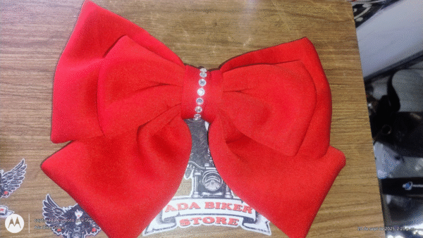 2e219f23-c382-4b96-b94b-13ddeb0094d1 Lazo para cascos