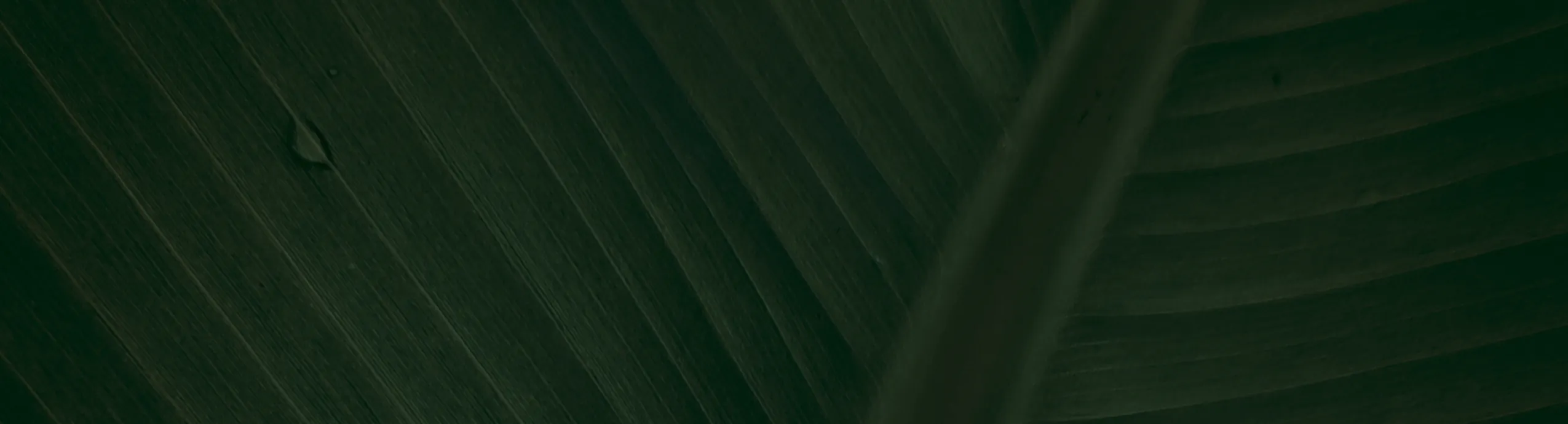 Correas decorativas Reatas metálicas para moto  – Modelos NS200, Apache, NKD, Pulsar y más